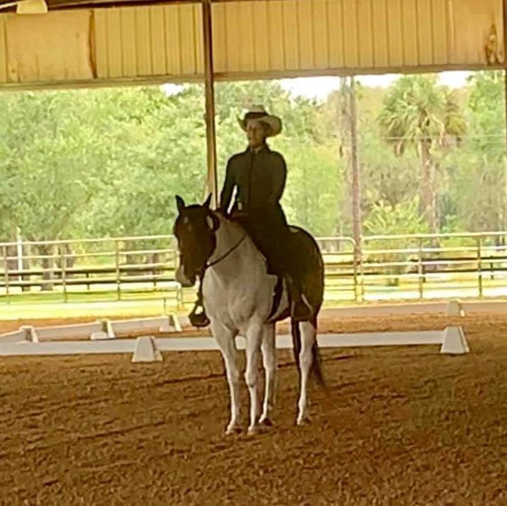 Meet your Posher, Diane